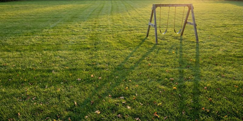 Columpio infantil a distancia segura de una cerca florida de Gelsemium